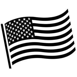 American Flag Graphic - Black