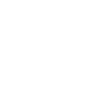 American Flag Graphic